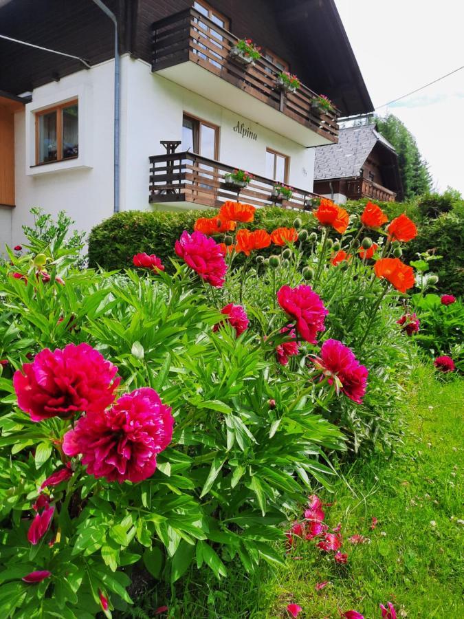 Haus Alpina Διαμέρισμα Weissensee Εξωτερικό φωτογραφία