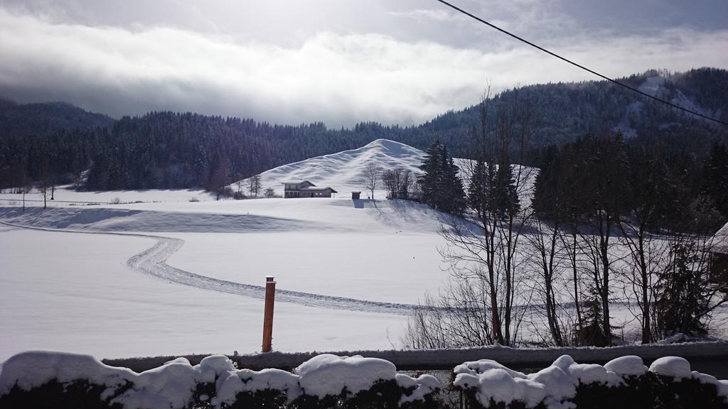 Haus Alpina Διαμέρισμα Weissensee Εξωτερικό φωτογραφία